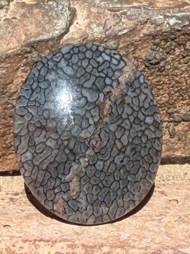 Fossilized whale bone cabochon - whale,
