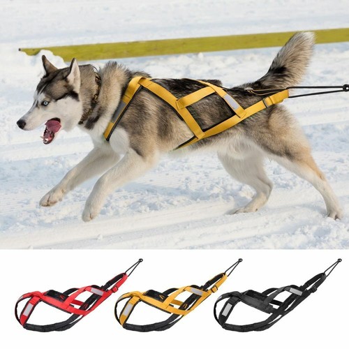 Pet weight pulling mushing - pulling, x