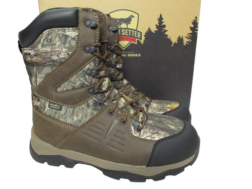 Irish setter terrain - setter,