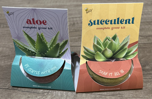 Succulent mixture and aloe - and,
