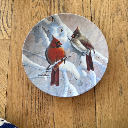 Cardinals snowy branch - on, a