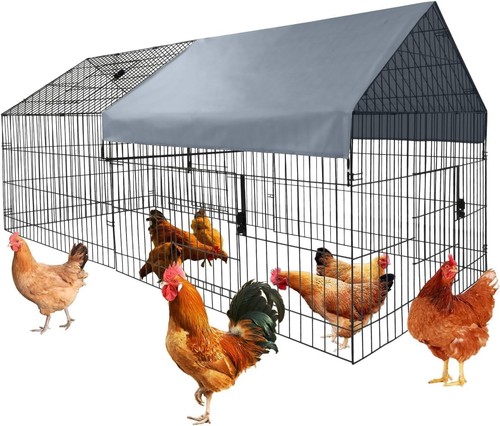 40 large chicken - 86"×40"×40",