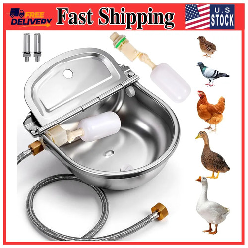 Automatic metal chicken - automatic,