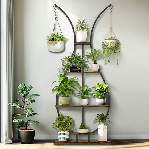 Large tall vase shape plant - tall, vase-shape