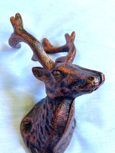 Reindeer elk deer head - reindeer, coat
