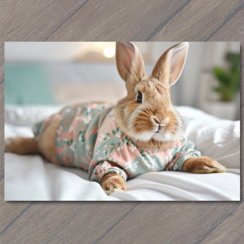 Sticker bunny rabbit - rabbit, bed