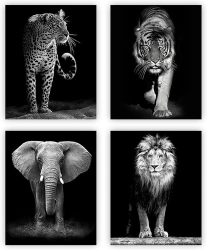 Set black and white - and,