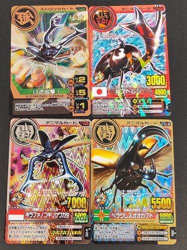 Animal kaiser beetle card - animal,