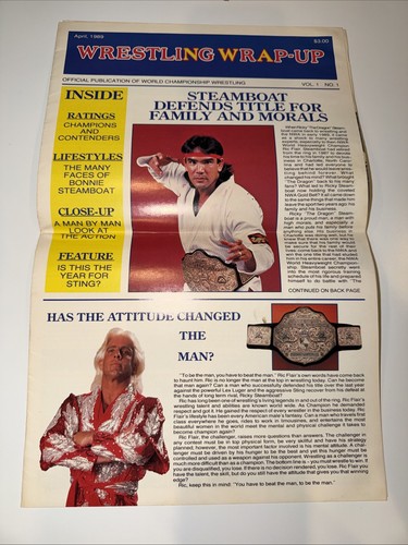 Wcw nwa wrestling wrap - wrap-up,