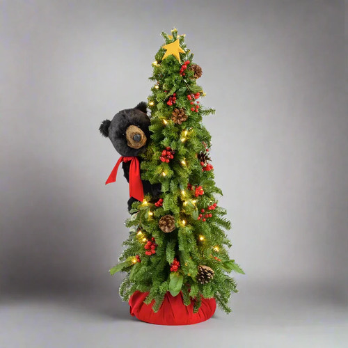 Ditz designs climbing - ditz,