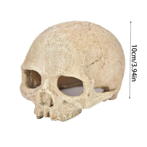 Fish tank aquarium skull - fish,
