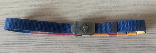 Boy scouts tiger - tiger, belt