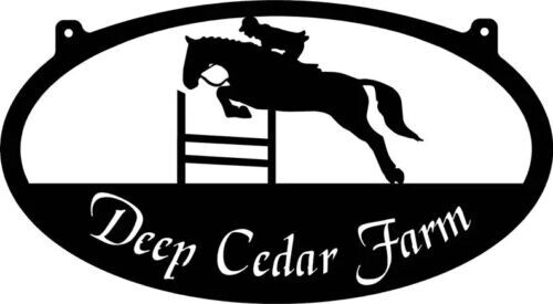 Customized metal jumping horse - customized,