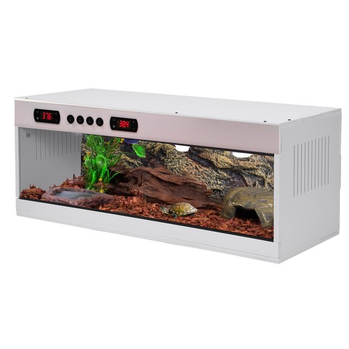 Reptile enclosure to - reptile, up