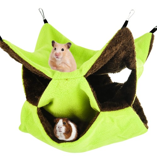 Tier ferret rat - tier,