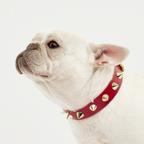 Golden red leather - red, pu