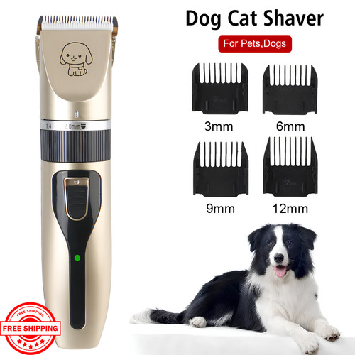 Dog cat pet - dog, grooming