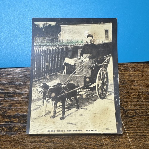 1915 susini holland dog drawn - susini,