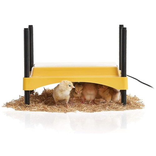 Chick brooder heat plate - chick,