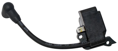 Ignition coil module - module, for