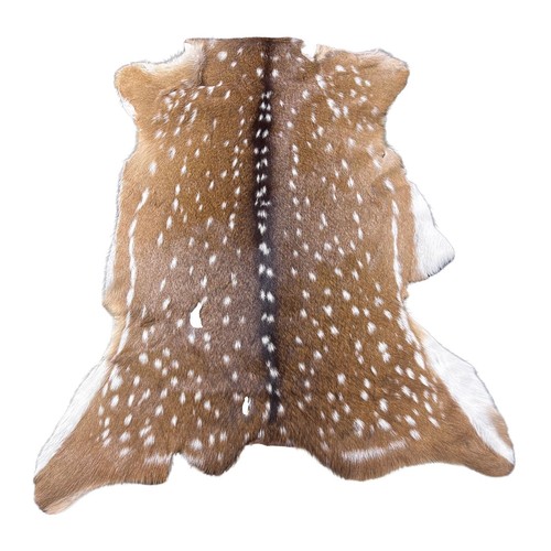 Axis deer hide - deer, rug