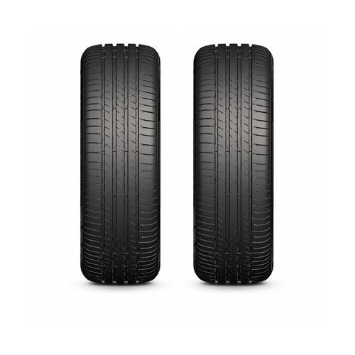 Horseshoe tokmak new - 2,