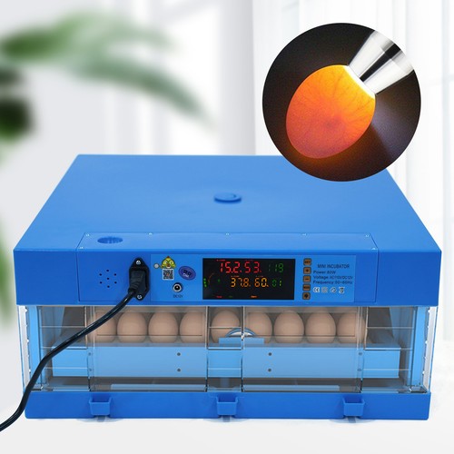 Eggs incubator automatic - eggs,