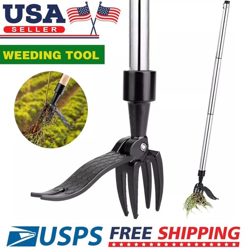 Outdoor weeder stand - up, weed