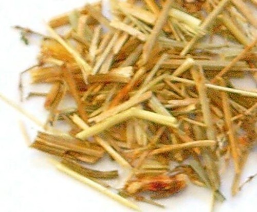 Sheep sorrel herb cut - sheep,