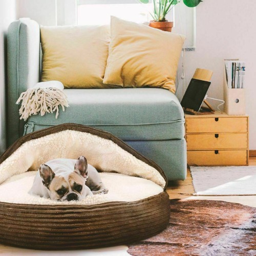 Pet cave snuggly cozy - cave,