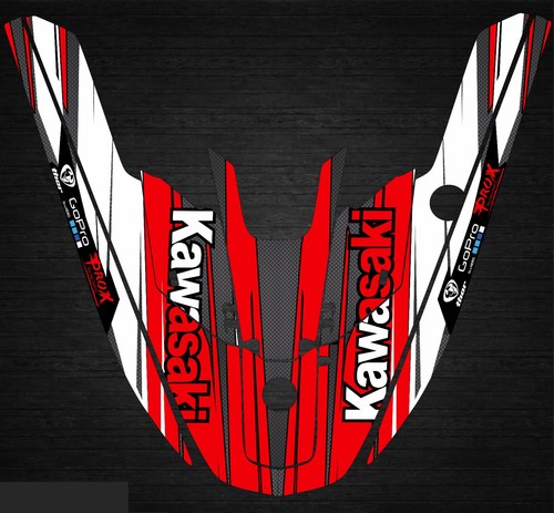 Kawasaki 650sx jetski set - jetski,