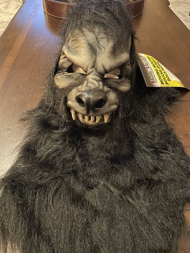 Adult zagone studios hand made - studios,