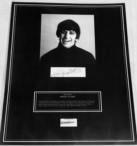 Ringo starr beatles hair lock - starr,