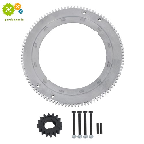 Flywheel ring gear kit - flywheel, for
