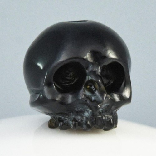 Human skull genuine - human,