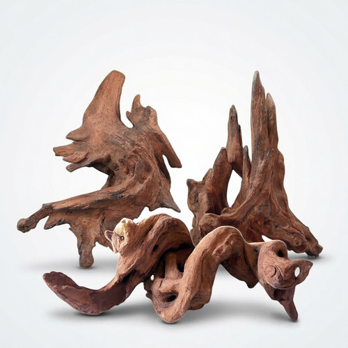 Driftwood for aquariums - driftwood,