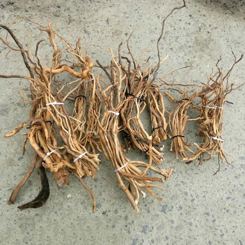 Natural driftwood aquarium - driftwood,