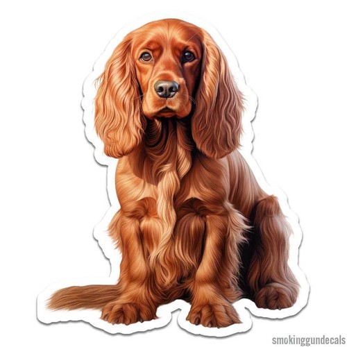 English cocker spaniel vinyl - english,