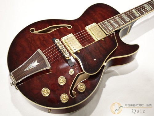 Acoustic electric guitar - electric,
