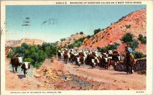 Vtg postcard 9358 - postcard,, 9358-e