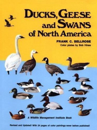 Ducks geese and swans of - ducks,,