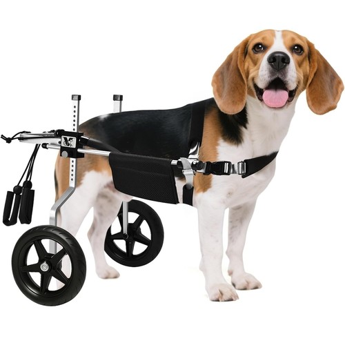 Dog wheelchair for back legs - dog,