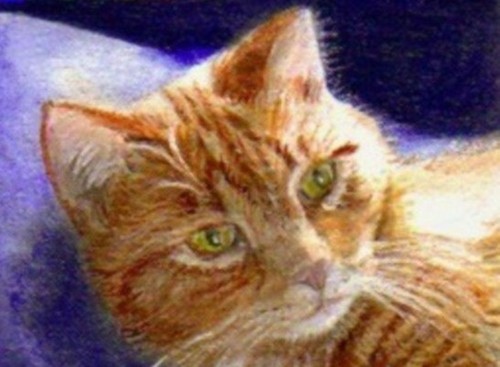Bcb orange tabby cat inspired - orange,