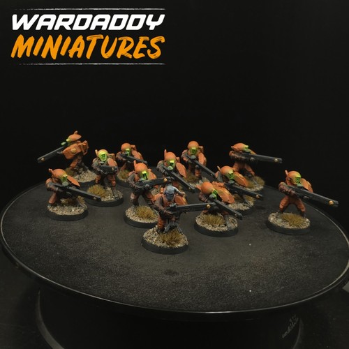 Pro painted warhammer 40k - pro, tau