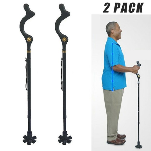 2pc the campbell cane - the,