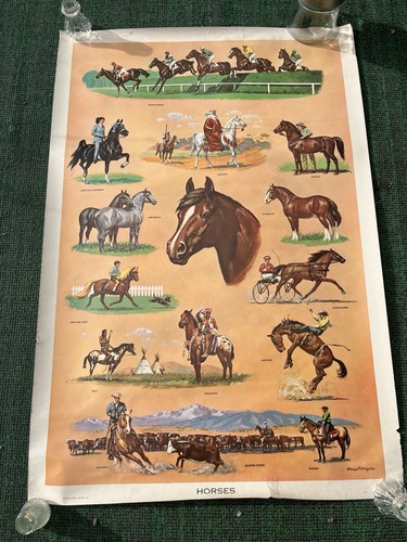 Vintage 1959 educational - vintage,