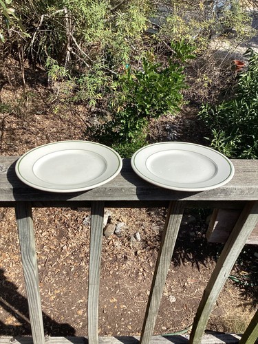Vintage buffalo china - vintage,