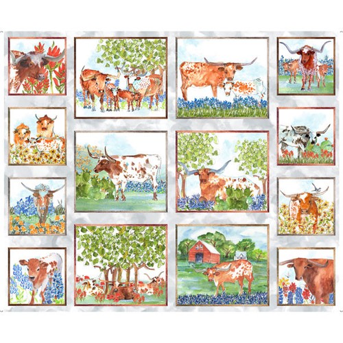 Longhorn cattle cow farm - longhorn,