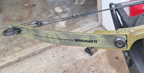 Vintage bear whitetail - vintage,