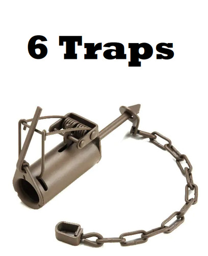 Duke dog proof - duke, trap